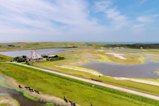 De Jutter, in natuurgebied en vlakbij het Strand - Callantsoog - 0