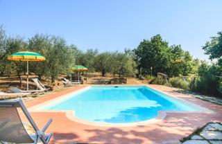 Case Vacanza Podere Risoino - Poggibonsi - 6