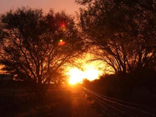 Quaggasfontein Gastehuis - 4