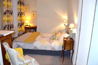 Maison de charme au cœur du Blanc, avec spa et jardin - Le Blanc - 1