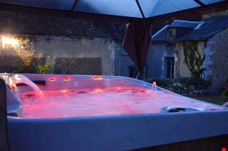 Maison de charme au cœur du Blanc, avec spa et jardin - Le Blanc - 8