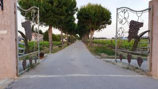 Maison accueillante Saint-Laurent 85 m² piscine partagée - 1