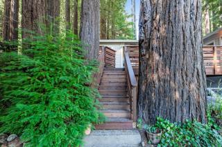 Home on the Range - Guerneville - 8