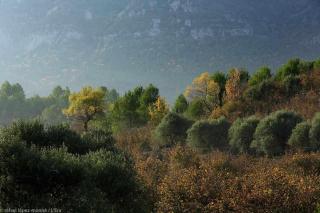 Casa Rural LEra - 5