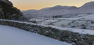 Gorse Hill Farm - Newcastle - 3