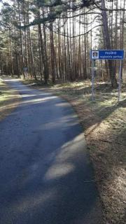 Dobilas ir jura - Palanga - 1