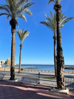 Primera linea playa Del Cura - Torrevieja - 3