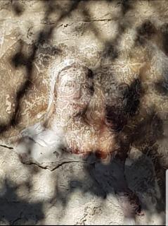 Chambre d'hôte Geiko - 1