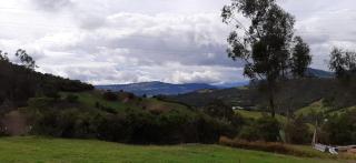 Animals Glamping - 6