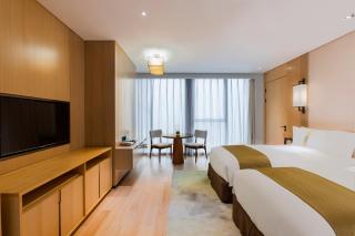 Holiday Inn Nanjing Qinhuai South Suites by IHG - 6