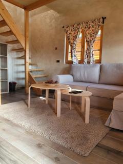 Imperator Kvintil apartmani & SPA - Ležimir - 6