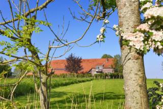 Ferienwohnungen auf dem Ferienhof an der Schafweide - Werdum - 9