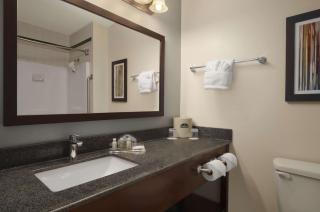 Wingate by Wyndham and Williamson Conference Center - Round Rock - 6