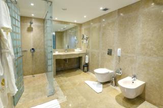 Tolip El Forsan Hotel - Ismailia - 2