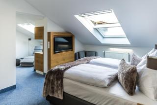 Das Aunhamer Suite & Spa Hotel - Bad Griesbach - 2