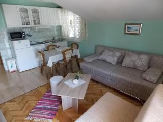 Studio apartment in Vir (4776-3) - 2