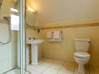 Tudor House Guest House - Dungarvan - 7