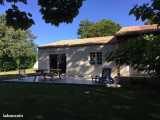 Albizia - Saint-Julien-des-Landes - 2