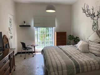 Casa Amores - Città del Messico - 3