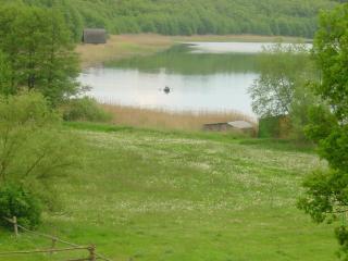 Landhotel Am Peetscher See - Mirow - 7