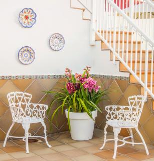 CASA LAS PALMERAS - 5