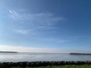 AUBERGE DU PORCHE - Blaye - 5