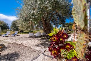 Villa Il Carrubo val di noto con piscina privata - 5