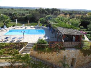 B&B Tenuta Martinelli - Monopoli - 9