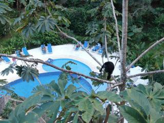 Cariblue Beach and Jungle Resort - Puerto Viejo - 2