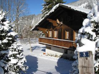 Chalet Nyati - Gstaad - 7