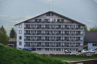 Cheile Gradistei Fundata Resort - Fundata - 8