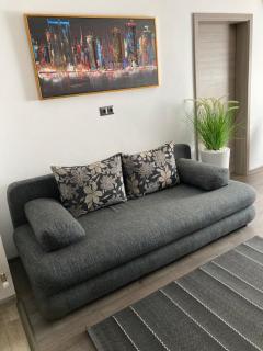 LIVI Apartment 1 - Satu Mare - 7