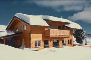 Heidi Chalets Falkert Heidialm - Chalets Bergwinter - Patergassen - 1