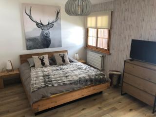 Le Cerf, magnifique studio avec jardin-terrasse et garage - Evolène - 1