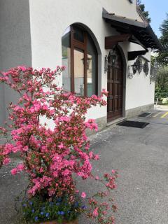 Liza's Suite's - Room's with a View - 3