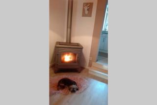 ländlich & gemütlich in Raeren mit 2 Schlafzimmern - 5