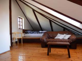 Pension Fortna - Cesky Krumlov - 4