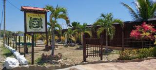 Guille Bungalows - Canoas de Punta Sal - 5