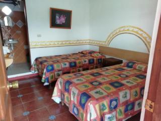 Posada Los Naranjos - Xico - 0