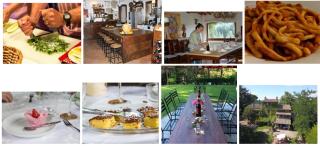 Poggio Etrusco sas di Sheldon Johns Pamela Kay - 3