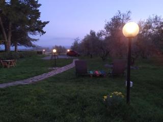 Agriturismo La Villetta - San Lorenzo Nuovo - 2