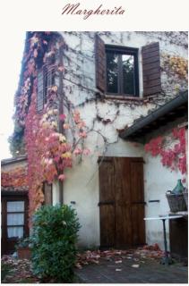 Poggio Etrusco sas di Sheldon Johns Pamela Kay - 5