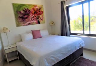 Green Goose self catering villa with pool - Plettenbergbaai - 6