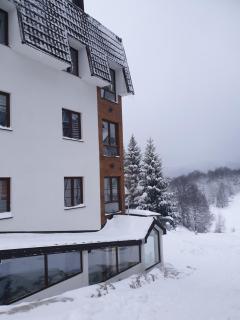 Apartman Kostic Kraljev Konak - Kopaonik - 0