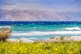 Nikos Ikies - Theologos - 9