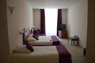 Hôtel Mercure Montauban - Montauban - 4
