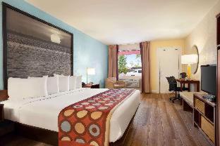 Super 8 by Wyndham Florida City/Homestead/Everglades - 7