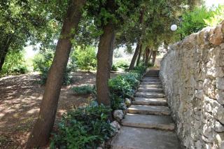 Hotel Villa Rosa - Martina Franca - 6