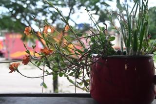 Casa Liria Gael - Kite Is Surf School - 7