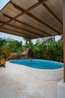 Villa Tucan - Fortuna - 5
